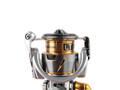Катушка безынерционная Daiwa 21 FREAMS LT 3000-C купить в Беларуси с доставкой, цена, фото 